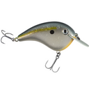 Sexy Shad 2.0