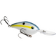  Sexy Shad