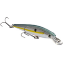  Sexy Shad