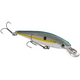  Sexy Shad