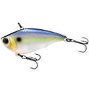  Sexy Shad
