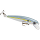  Sexy Shad
