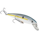  Sexy Shad