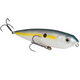  Sexy Shad