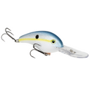  Sexy Shad