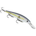  Sexy Shad
