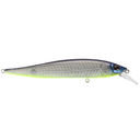  Shad Fillet