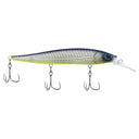  Shad Fillet