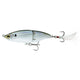  Shad Scales