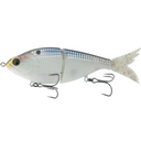  Shad Scales