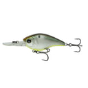  Shad-Treuse