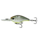  Shad-Treuse