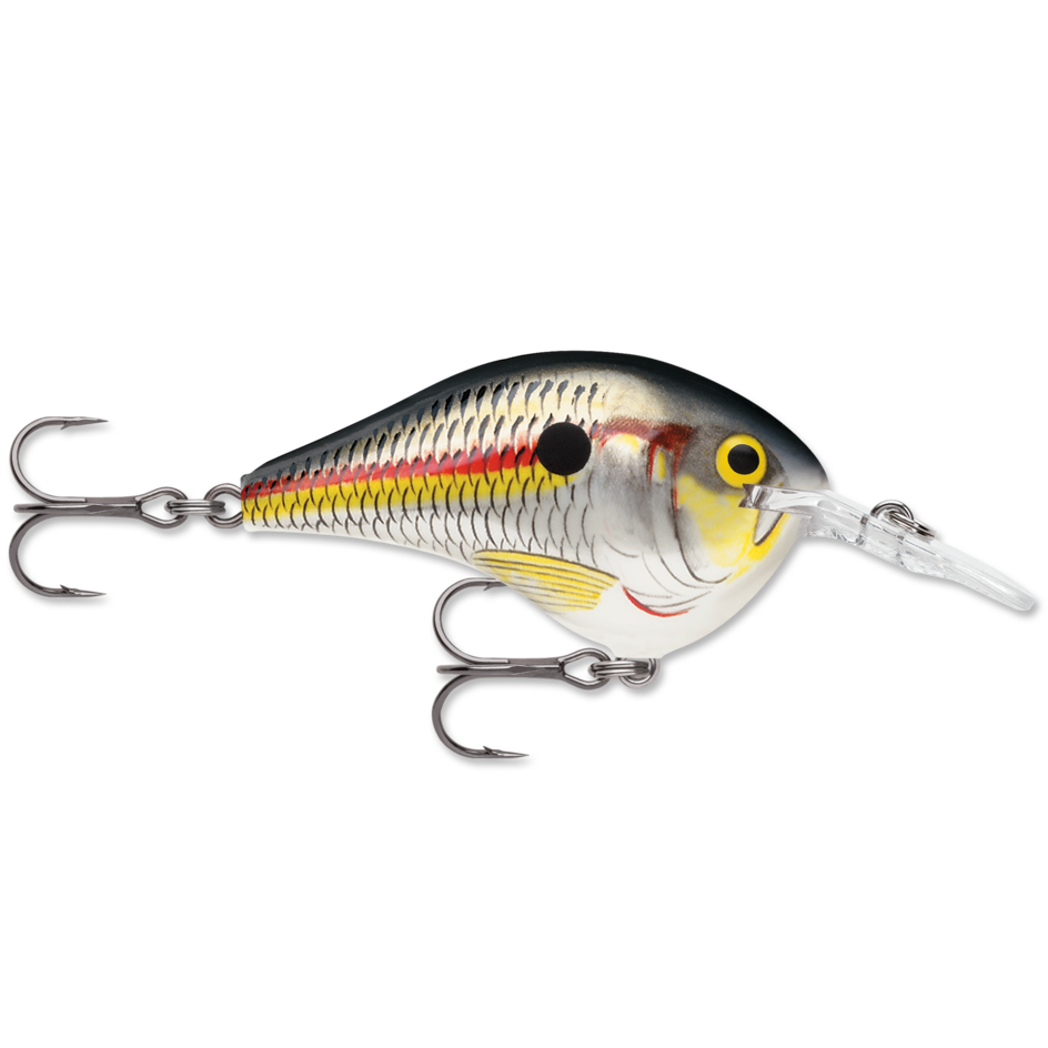 Rapala DT 6