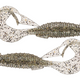  Silver Shad