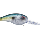  Sparkle Shad