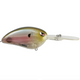  Spooky Shad