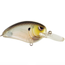  Spooky Shad