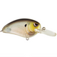  Spooky Shad