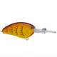  Spring Craw