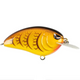  Spring Craw