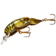  Stream Crawfish