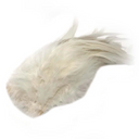  White SCH001