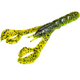  Summer Craw