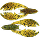  Summer Craw