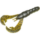  Summer Craw