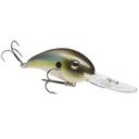  Summer Sexy Shad