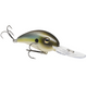  Summer Sexy Shad