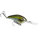  Summer Sexy Shad