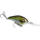  Summer Sexy Shad