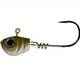  TN Shad