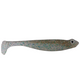  Tennessee Shad