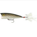  Tennessee Shad
