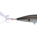  TN Shad