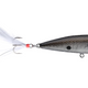 TN Shad