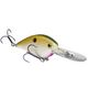  TN Shad