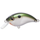  Tennessee Shad