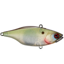  TO Muddy Shad
