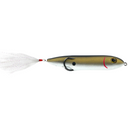  Tennessee Shad