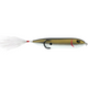  Tennessee Shad