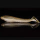  Tennessee Shad