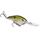  Tennessee Shad