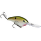  Tennessee Shad