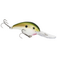  Tennessee Shad