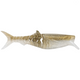  Tennessee Shad