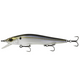  Threadfin Shad