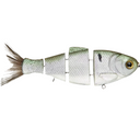  Threadfin